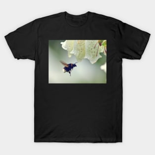 Flying Bee T-Shirt